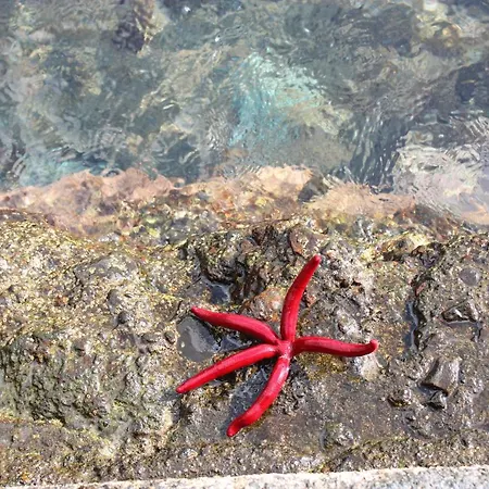 Apartamento A Casa Do Jesus Al *