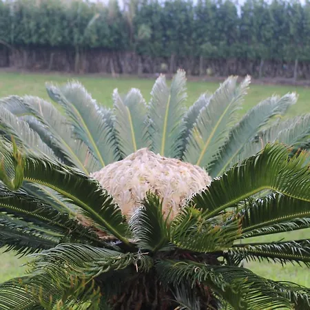 A Casa Do Jesus Al Apartamento *