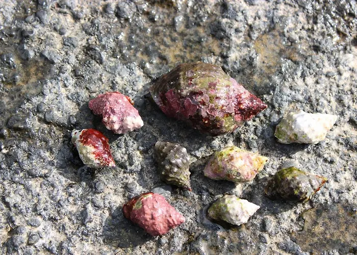 A Casa Do Jesus Al Lägenhet