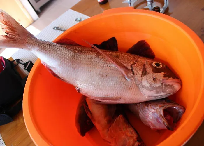 A Casa Do Jesus Al Lägenhet Lomba (Flores)