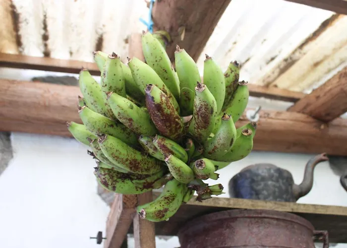 A Casa Do Jesus Al דירה *