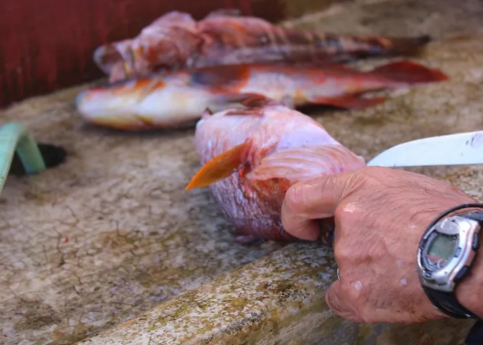 A Casa Do Jesus Al Lägenhet Lomba (Flores)