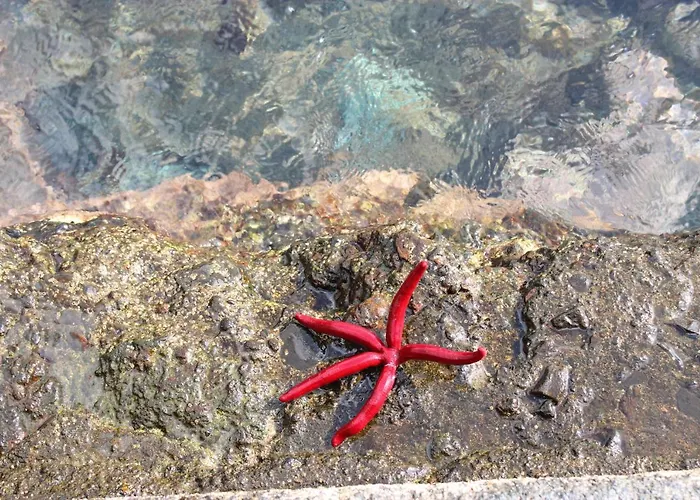 דירה A Casa Do Jesus Al *