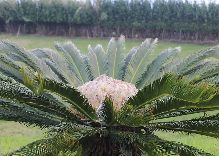 A Casa Do Jesus Al Lägenhet *